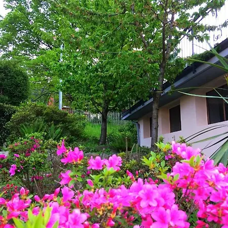 Casa de hóspedes Il Ciliegio 3*