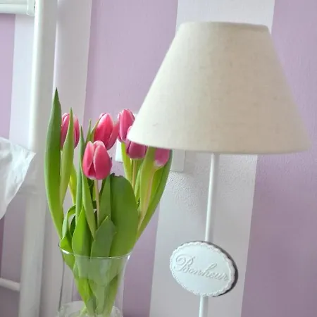 Il Ciliegio Guest house