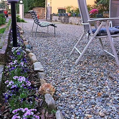 Il Ciliegio