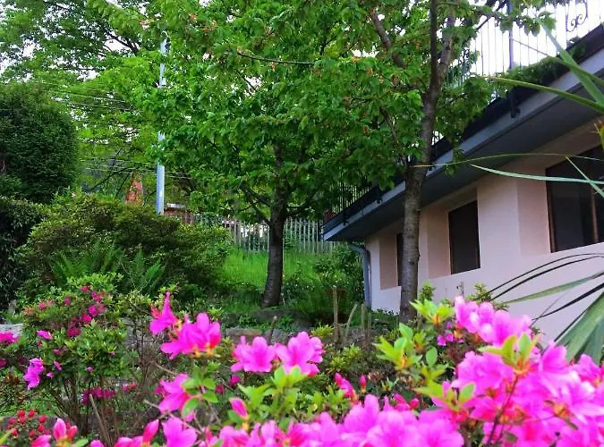 Pensión Il Ciliegio 3*