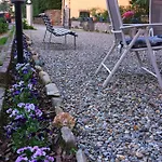 Il Ciliegio 3* Stresa
