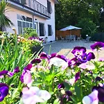 Il Ciliegio Guest house Stresa