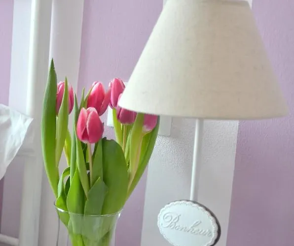 Il Ciliegio Konukevi